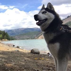 Meet your Posher, Nathan